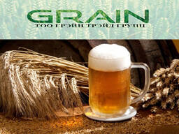 Ячмень пивоваренный