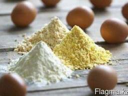 Яичный порошок