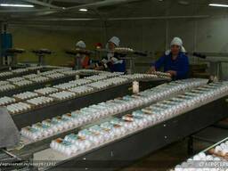 Яйцо куриное