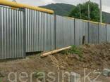 Заборы из профнастила - фото 3