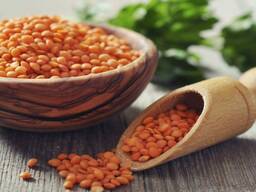 Закупаем Чечевицу Красную