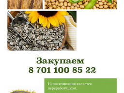 Закупаем масличную культуру семечку , лен, сою, сафлор, рапс.