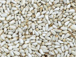 Закупаем салфор, лен на экспорт