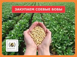 Закупаем соевые бобы (бобы сои)