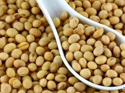 Закупаем сою на постоянной основе