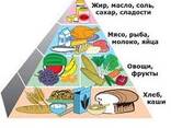Закупки крупным оптом - фото 1