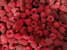 Замороженная Малина, Черника, Клюква, Брусника, Облепиха, Смородина черная из Беларуси