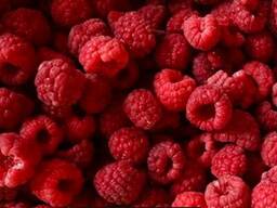 Замороженные ягоды, замороженные овощи, картофель фри, наггетсы, фритюрное масло, соусы.