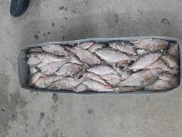 Услуга по вяленой рыбе