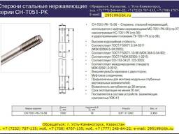 Заземлитель. Электрод заземления нержавеющая сталь СН-Т051-РК-15-58