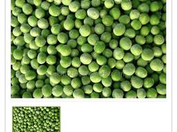 Зеленый горох