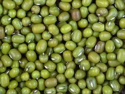 Зелёный Маш