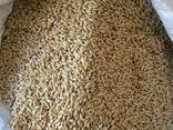 Зерноотходы пшеница ячмень отруби - фото 1