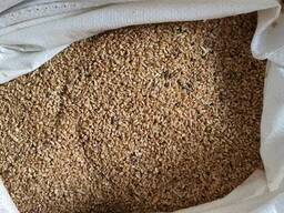 Зерноотходы пшеничные