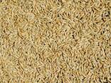 Зерноотходы, ячмень пшеница кукуруза отруби комбикорма - фото 1