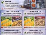 Зерносушилка - photo 9