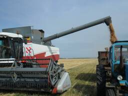 Действующее крестьянское хозяйство на 25000 га с элеватором