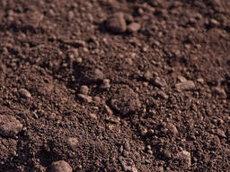 Железная руда агломерационная Fe 55-56