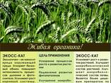 Жидкое удобрения - фото 1