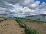 Животноводческая база, крестьянское хозяйство - фото 4