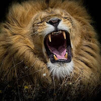 Жакешев Айвар