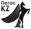 Пегас Krg, ТОО