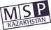 MSP, ТОО