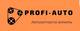 Profi-Auto, ИП