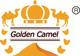 Golden Camel Group LTD, ТОО