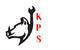 Kaban parts and Service, ИП