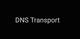 DNS Transport, ИП