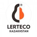 Лертеко-Групп, Branch